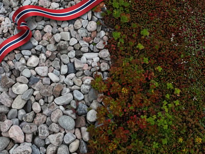 Kampanje på dekorstein