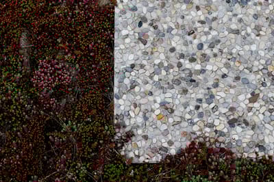 Helle Cavazzo 40x40x3,5 cm