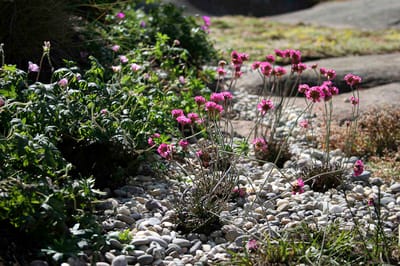 Dekorstein Elvestein 15/25 mm 20 kg