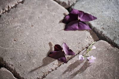 Rådhus Helle Brunmix 25x25x6 cm