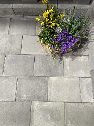 Torg Gråmix Aveny 6 cm