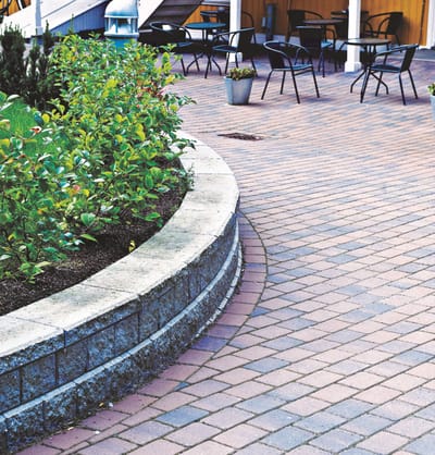 Kongsgård Høst 6 cm