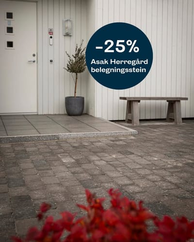 SOMMERSALG 