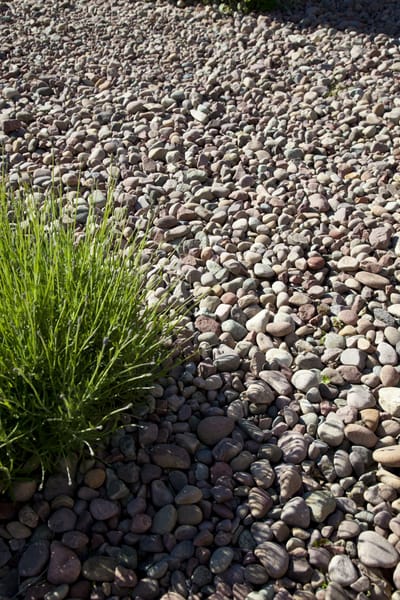 Dekorstein Natursingel Grå/Rød 16/40 mm 15 kg