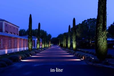 In-lite Ace Down Silver