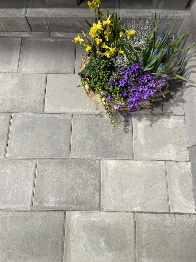 Torg Belegningsstein Gråmix Aveny 6 cm